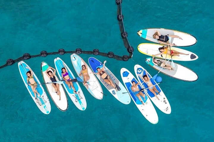 Morning Paddleboard Session in Playa del Carmen — All Levels Caribbean SUP photo 1