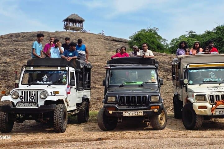 Minneriya Safari: Jeep Adventure to See Sri Lanka’s Elephant Gatherings photo 3