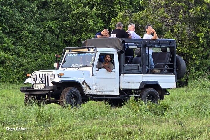 Minneriya Safari: Jeep Adventure to See Sri Lanka’s Elephant Gatherings photo 4