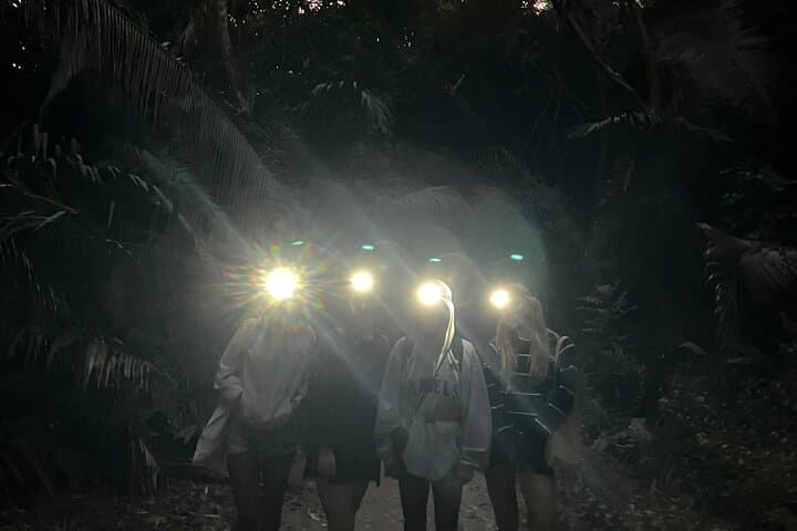 Sunset Hike to Sayulita’s Hidden Black-and-Gold Beach photo 4
