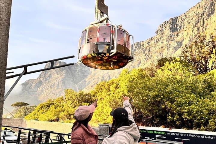 Cape Town Full-Day: Table Mountain, Penguins & Cape Point Tour photo 6