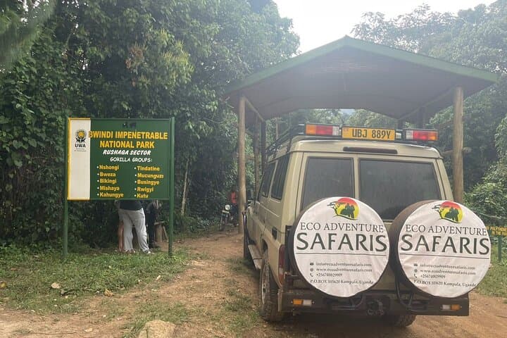 3-Day Uganda Gorilla Trekking & Batwa Cultural Experience in Bwindi photo 6