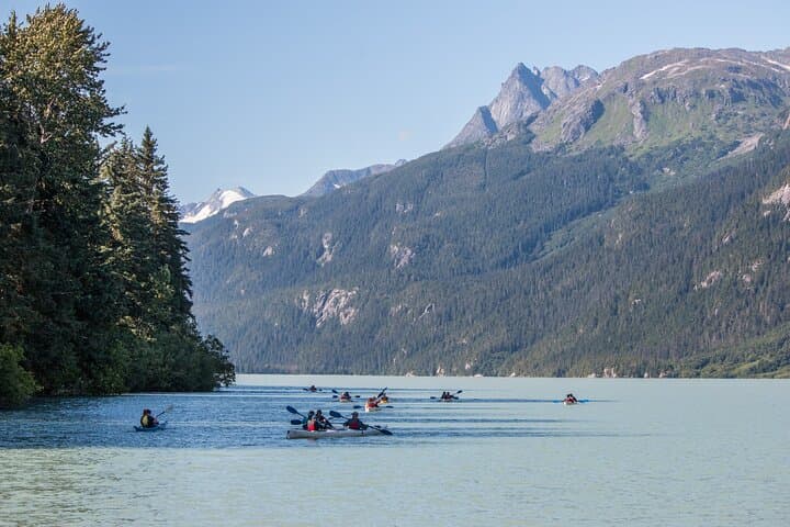 Wilderness Kayak Adventure in Haines Paddle Past Glaciers and Salmon Runs photo 2