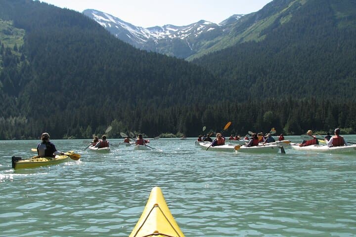 Wilderness Kayak Adventure in Haines Paddle Past Glaciers and Salmon Runs photo 4