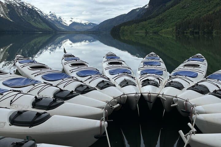 Wilderness Kayak Adventure in Haines Paddle Past Glaciers and Salmon Runs