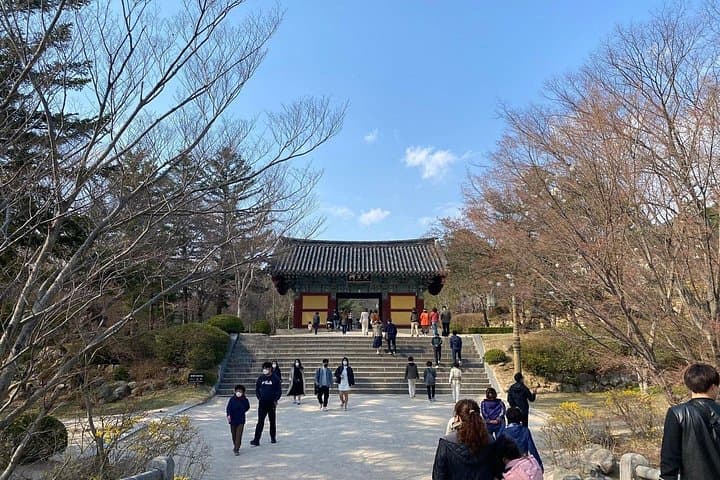 Gyeongju Guided Electric Car Tour: Bulguksa, Seokguram & Cultural Highlights photo 6
