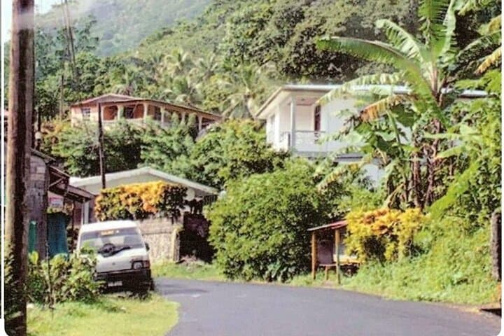 Ocho Rios Private Sightseeing Tour — Waterfalls, Cliff Jumps & Blue Hole Adventure photo 3