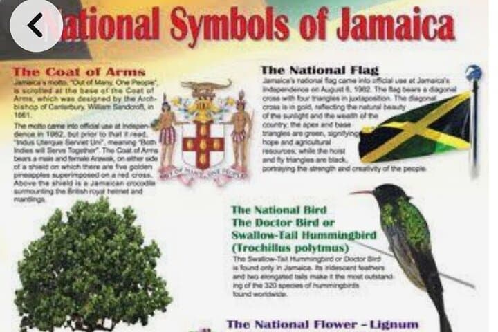 Ocho Rios Private Sightseeing Tour — Waterfalls, Cliff Jumps & Blue Hole Adventure photo 4