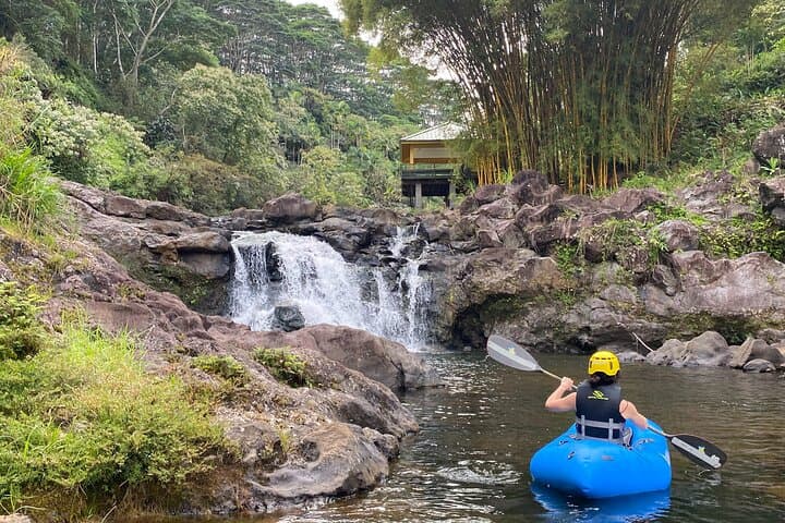 Full-Day Private Waterfall Rappelling Adventure on Hawaii’s Hamakua Coast photo 4