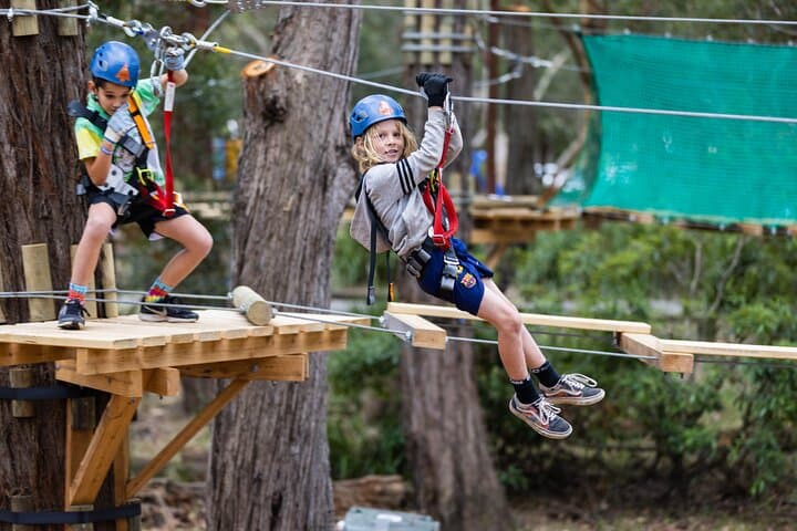 Treetops Adventure Central Coast — Junior Tree Ropes Course in Ourimbah State Forest photo 5