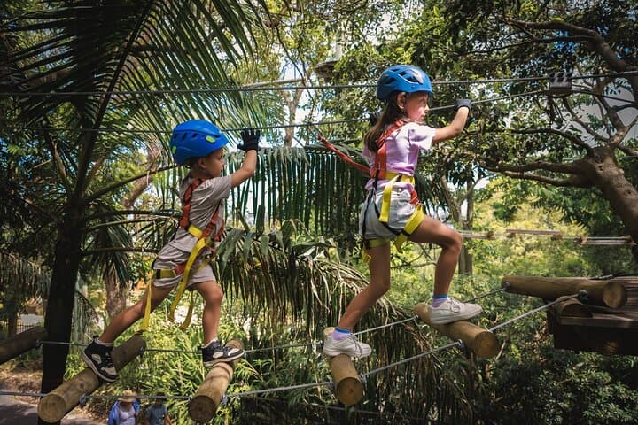 Treetops Adventure Central Coast — Junior Tree Ropes Course in Ourimbah State Forest photo 2