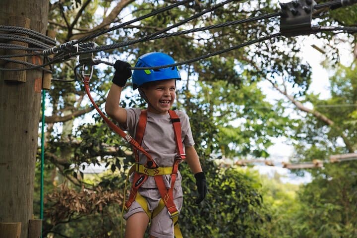 Treetops Adventure Central Coast — Junior Tree Ropes Course in Ourimbah State Forest