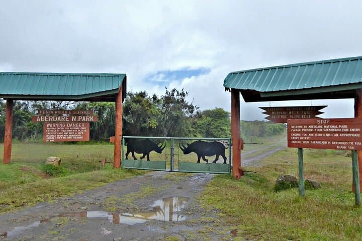 Overnight Safari to Aberdare National Park from Nairobi | 2-Day Wildlife Lodge Experience photo 2