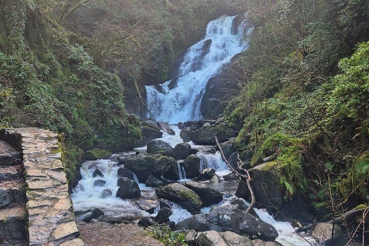 Ring of Kerry: A Day Driving Ireland’s Rugged Coastal Loop photo 3