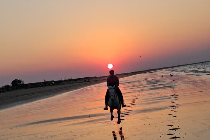 Horseback Riding on Al Sawadi Beach — Private Guided Beach Ride from Muscat