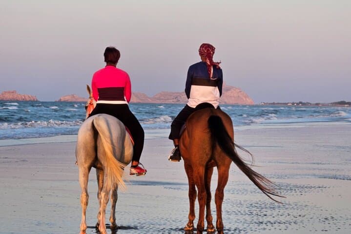 Horseback Riding on Al Sawadi Beach — Private Guided Beach Ride from Muscat photo 2