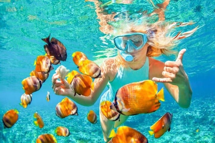 Bali Blue Lagoon Snorkeling: Two-Spot Padangbai Trip with Lunch & Transport photo 3