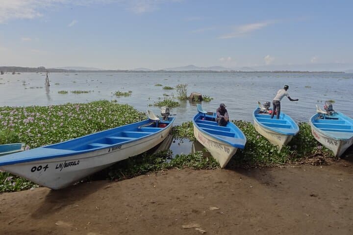 5-Day Lake Naivasha, Lake Nakuru & Masai Mara Safari — Big Five, Flamingos & Plains photo 4