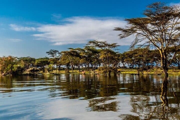 5-Day Lake Naivasha, Lake Nakuru & Masai Mara Safari — Big Five, Flamingos & Plains photo 5
