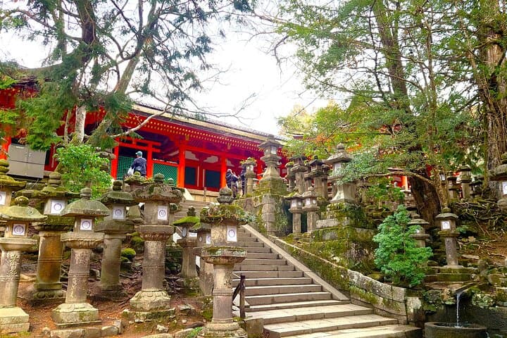 Slow Cycling Nara: Explore UNESCO World Heritage Sites by BROMPTON photo 5