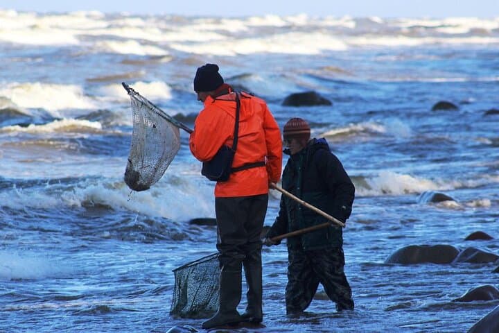 Amber Catching Private Tour on the Curonian Spit from Klaipėda