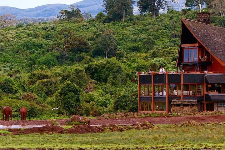 Full-Day Scenic Tour of Aberdares National Park — Waterfalls, Wildlife & High-Altitude Forests