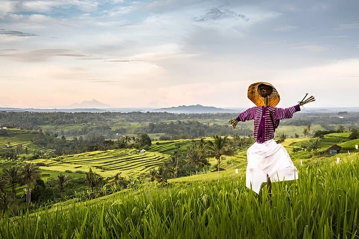 Banyumala & Bedugul Day Tour: Waterfalls, Lakes, and Rice-Terrace Views photo 3