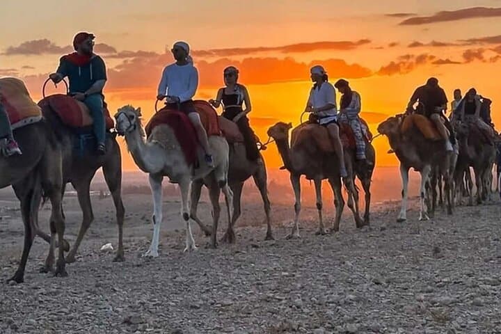 White Desert and Bahariya Oasis: Private Day Adventure from Cairo photo 3