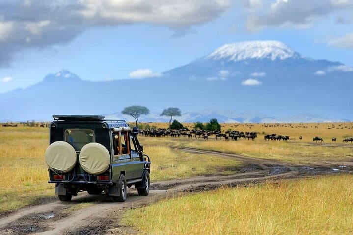 7-Day Mid-Range Lodge Tanzania Safari: Serengeti, Ngorongoro & Tarangire photo 3