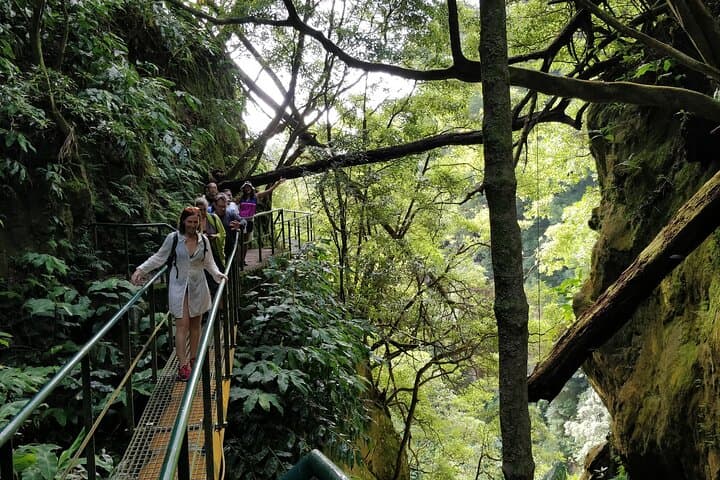 Waterfall Hike and Volcano-Cooked Dinner in São Miguel's Furnas photo 5