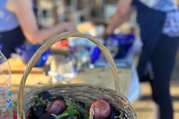 Eco Farm Tour & Farm-to-Table Lunch in a Peloponnese Olive and Lemon Grove photo 4