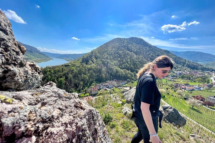 Wachau Vineyard Walk: Hiking the Danube Wine Terraces from Spitz to Hinterhaus