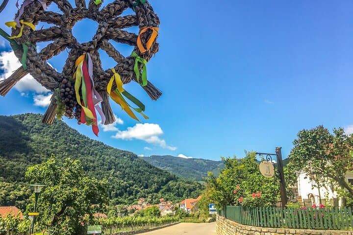 Wachau Vineyard Walk: Hiking the Danube Wine Terraces from Spitz to Hinterhaus photo 2