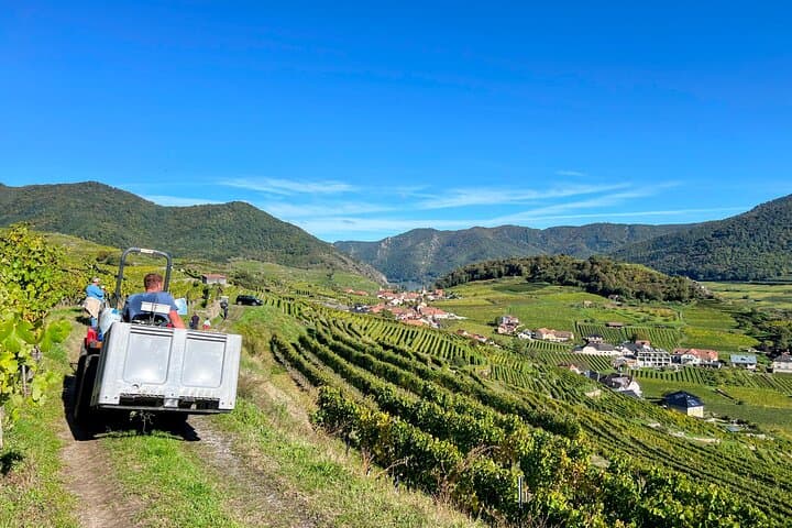 Wachau Vineyard Walk: Hiking the Danube Wine Terraces from Spitz to Hinterhaus photo 3
