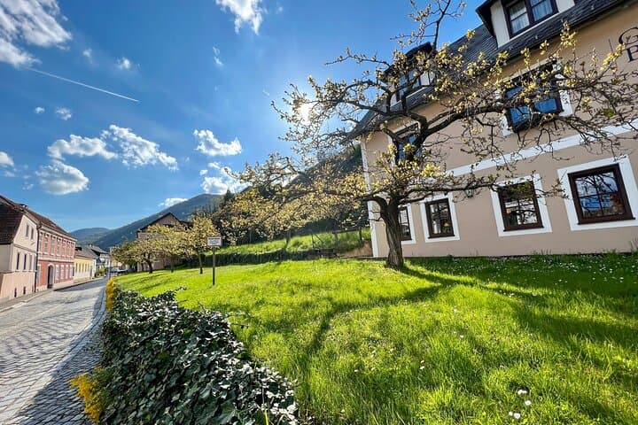 Wachau Vineyard Walk: Hiking the Danube Wine Terraces from Spitz to Hinterhaus photo 4