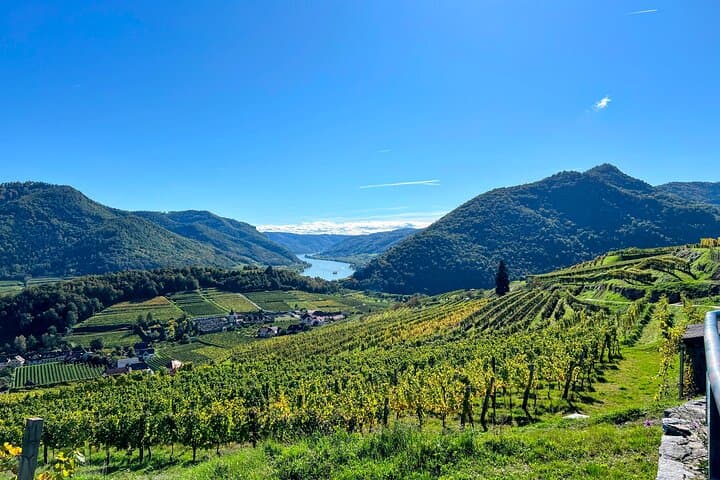 Wachau Vineyard Walk: Hiking the Danube Wine Terraces from Spitz to Hinterhaus photo 6