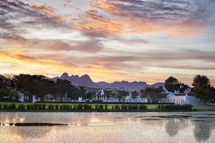 Indigenous Food and Wine Tasting at Vergenoegd Löw — Cape Town Heritage Pairing photo 4