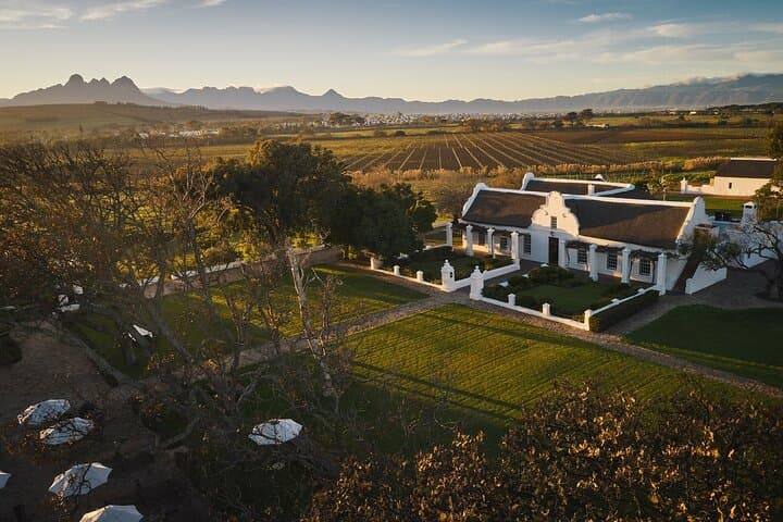 Indigenous Food and Wine Tasting at Vergenoegd Löw — Cape Town Heritage Pairing photo 5