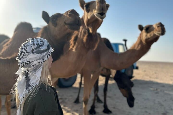 Overnight on the Dunes: Rub Al Khali Bedouin Camp from Salalah photo 2