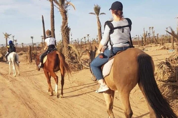 Horseback Riding in Palmeraie Grove — 2-Hour Marrakesh Oasis Ride photo 3