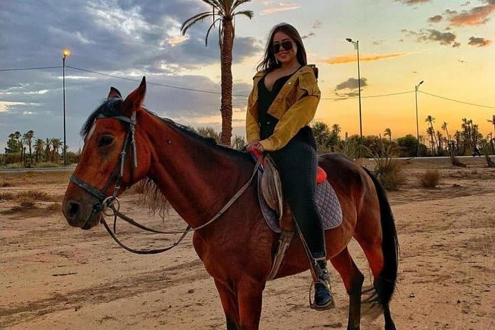 Horseback Riding in Palmeraie Grove — 2-Hour Marrakesh Oasis Ride