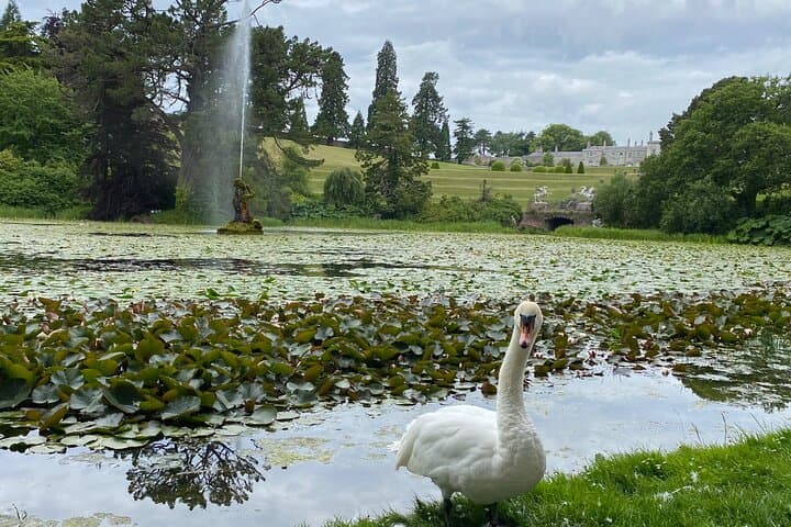 Discover Wicklow Garden Tour: Ireland’s Most Stunning Gardens & Flavours