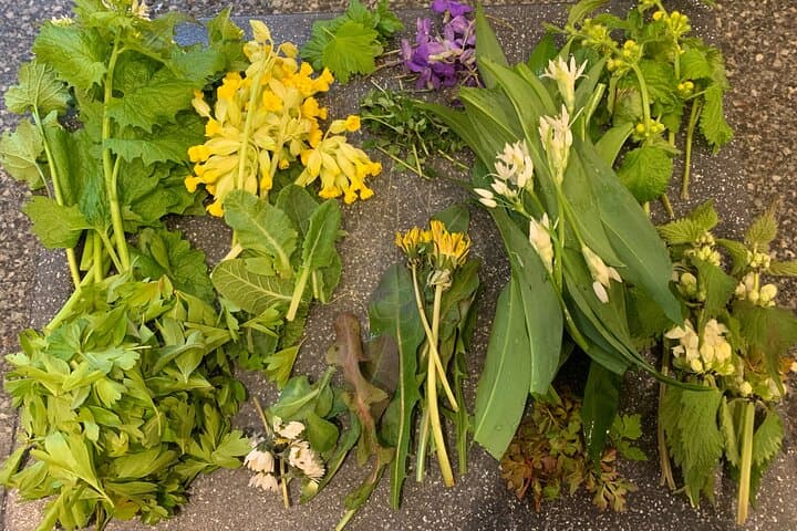 Oxford Foraging Walk for Beginners — Wild Plant ID & Tasting Tour