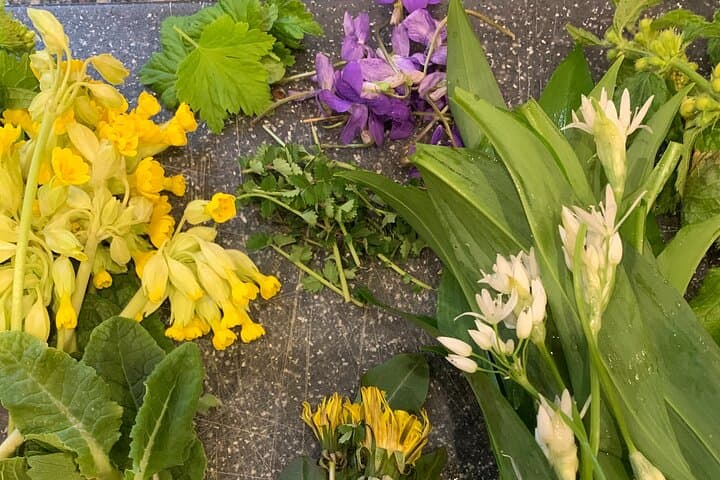 Oxford Foraging Walk for Beginners — Wild Plant ID & Tasting Tour photo 6