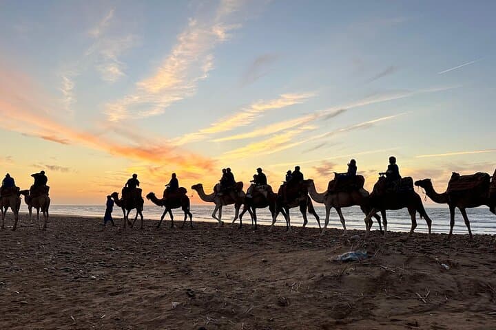 Tamri Beach Quad Bike and Camel Ride from Agadir — Camel Coast Dunes & BBQ photo 3