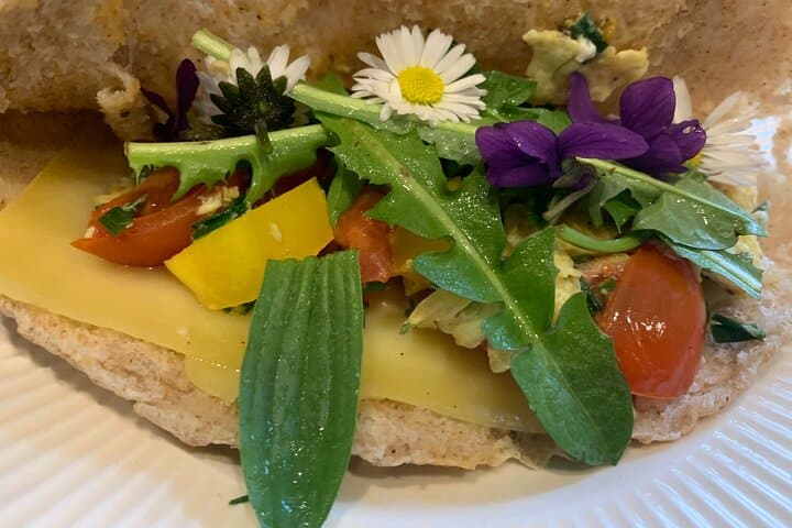 Oxford Foraging Walk for Beginners — Wild Plant ID & Tasting Tour photo 4