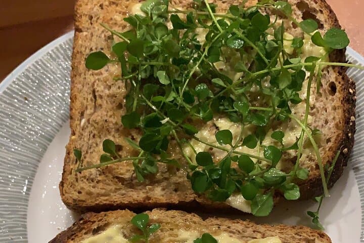 Oxford Foraging Walk for Beginners — Wild Plant ID & Tasting Tour photo 3
