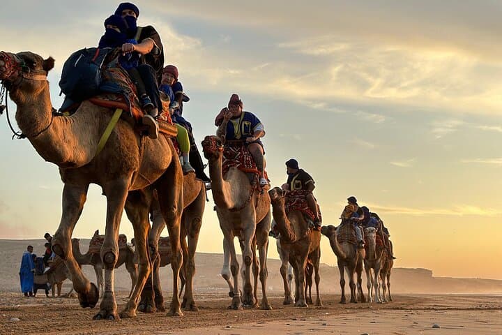 Sunset Camel Ride & Beach Barbecue at Tamri — Camel Trek Through Banana Fields to the Atlantic photo 2