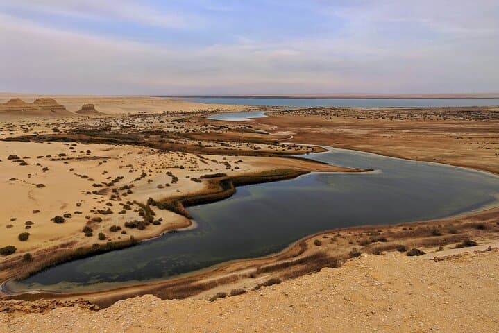 Cairo to Fayoum: Wadi El Rayan Waterfalls & Whale Valley Day Trip photo 4