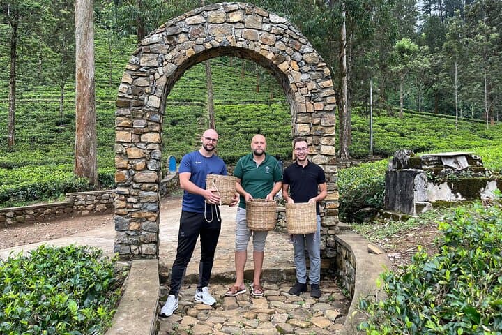 Nuwara Eliya Tea Factories & Waterfall Day Tour — Tea Plucking, Tastings & Views photo 3